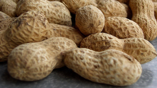 The First Peanut Allergy Drug Might Be Approved Soon—but Not Without Controversy
